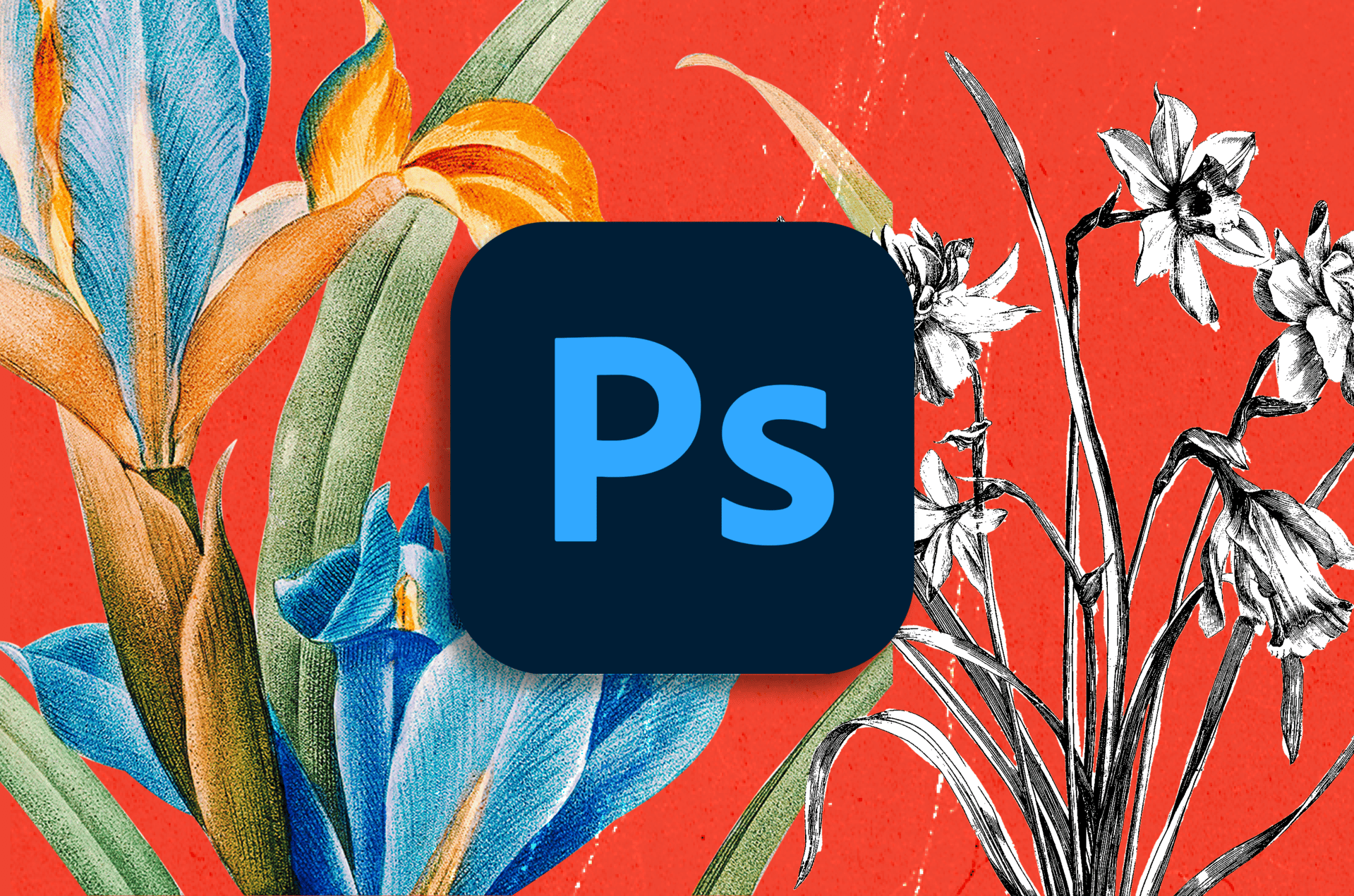Adobe Photoshop 2025-2026
